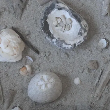 Strandglueck Schönhagen